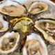 Can Oysters Help Erectile Dysfunction