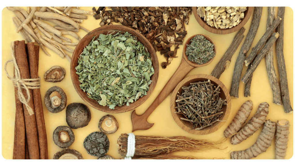 Stress Relief with 7 Best Adaptogenic Herbs