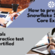 Snowflake SnowPro-Core Braindumps