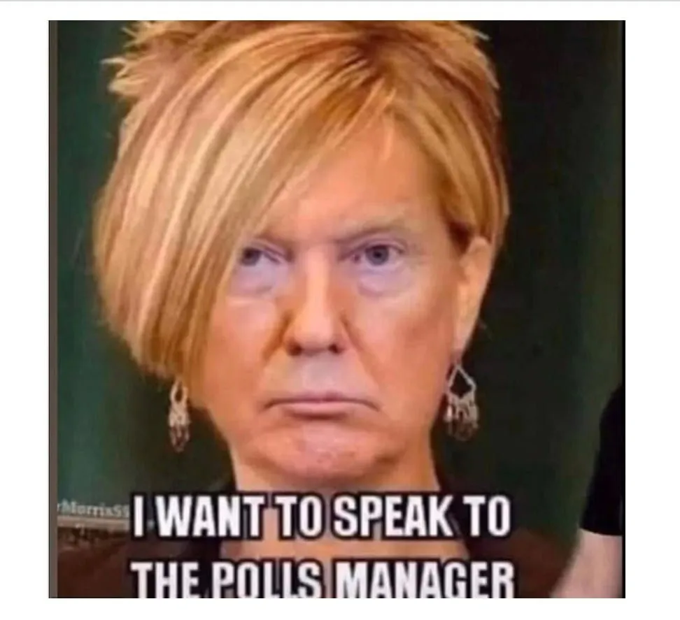 US Elections - Social media memes mock the slow counting of ballots 42 Social media memes
